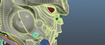 Autodesk 3ds Max Products: ProOptimizer Enhancements