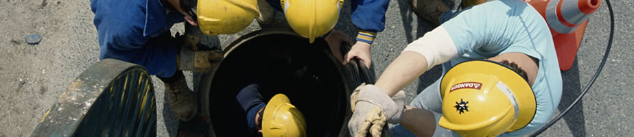 Telecommunications systems software for planning and management