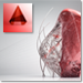 AutoCAD Architecture for architecture 3D design