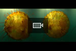 Video: Glyph uses Autodesk Smoke for visual effects and finishing