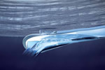 Vigor Wave uses Autodesk Inventor 3D CAD software to convert wave energy into electricity