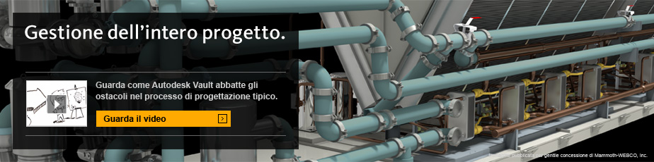 Gestione dell&rsquo;intero progetto.